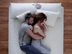 Twilight Quilted Mattress -Bed Linings Sales Store 180604 futon shop overhead setup 01 0047 1