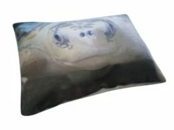 Bed Linings Sales Store -Bed Linings Sales Store 1 1