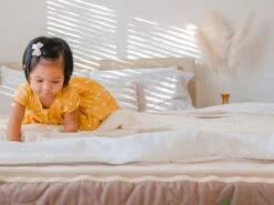 Twilight Quilted Mattress -Bed Linings Sales Store twilight2